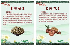 中药知识科普石斛与灵芝