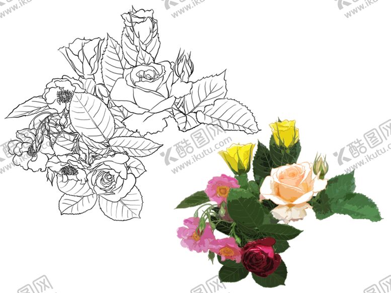 编号：31202109211342362719【酷图网】源文件下载-花卉素描