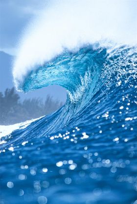 湖江海水自然风景森林生态系统森林保护