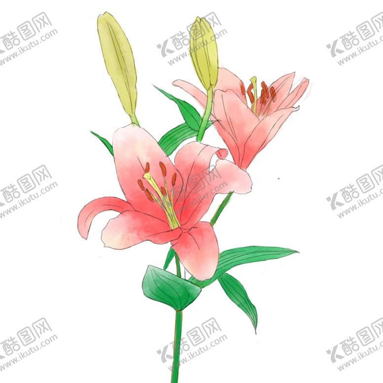 编号：87681312050341315125【酷图网】源文件下载-鲜花