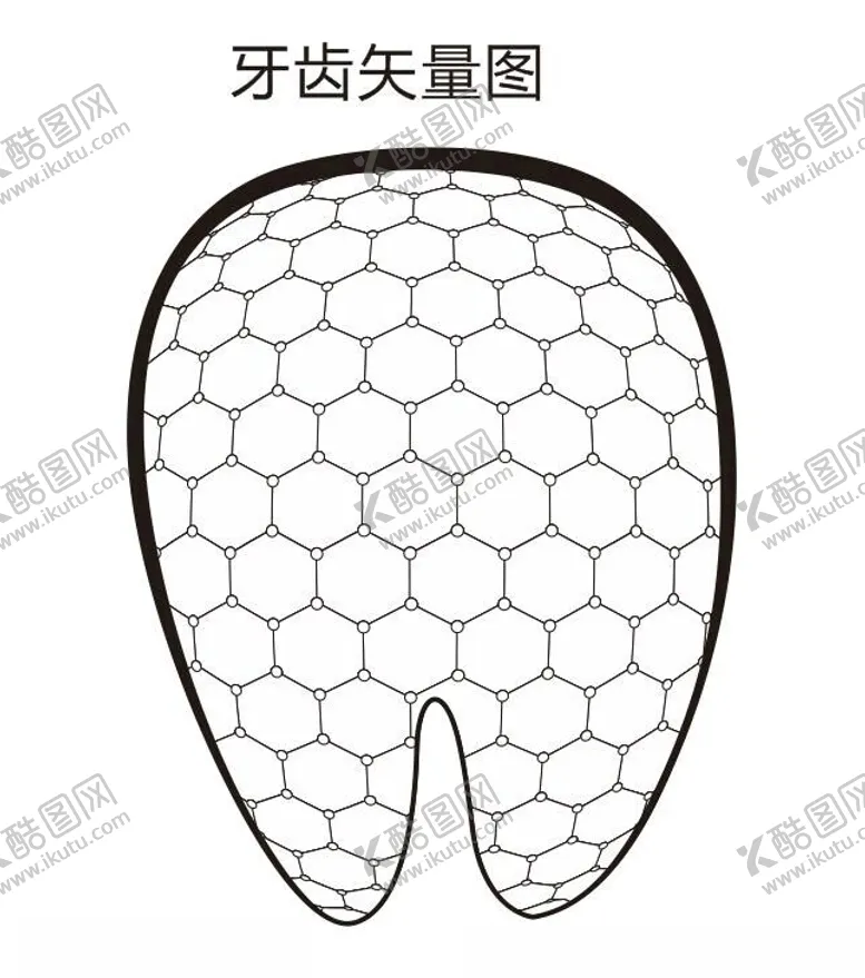编号：15599402060120258527【酷图网】源文件下载-牙齿