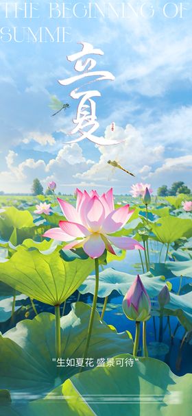 二十四节气立夏海报简约天荷花