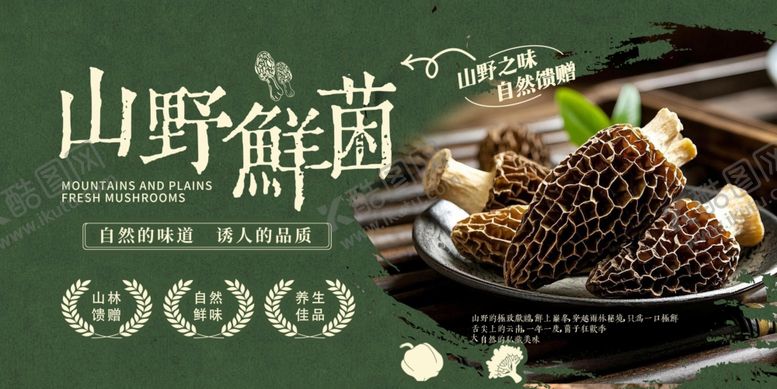 编号：38108511020957461102【酷图网】源文件下载-野生菌