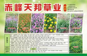 宣传彩页