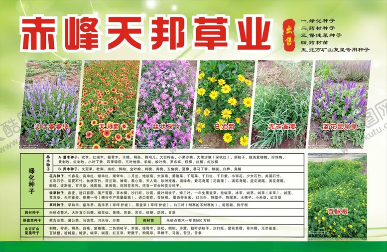 编号：34002607020448003404【酷图网】源文件下载-宣传彩页