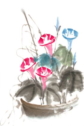 水彩牵牛花