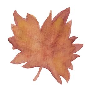 绿色水彩植物树叶