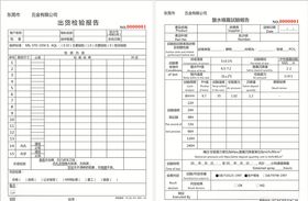 试验检验报告
