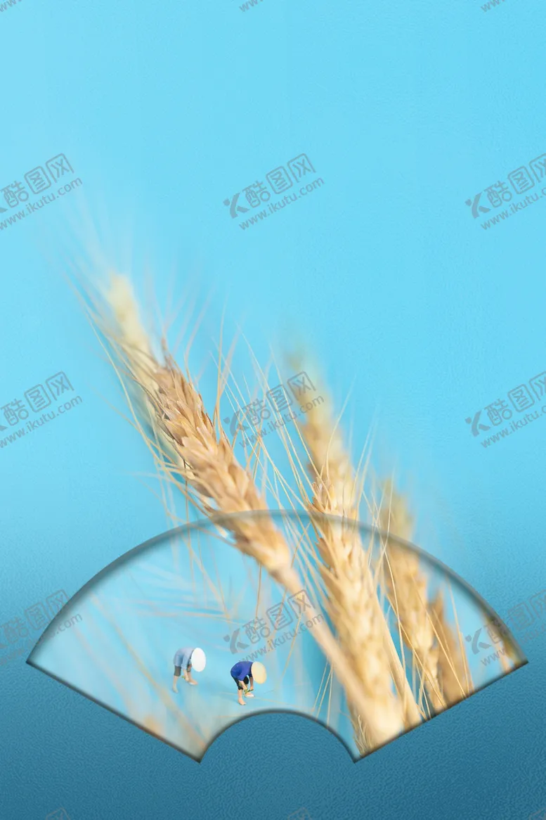 编号：64724111261533518605【酷图网】源文件下载-稻穗麦穗素材