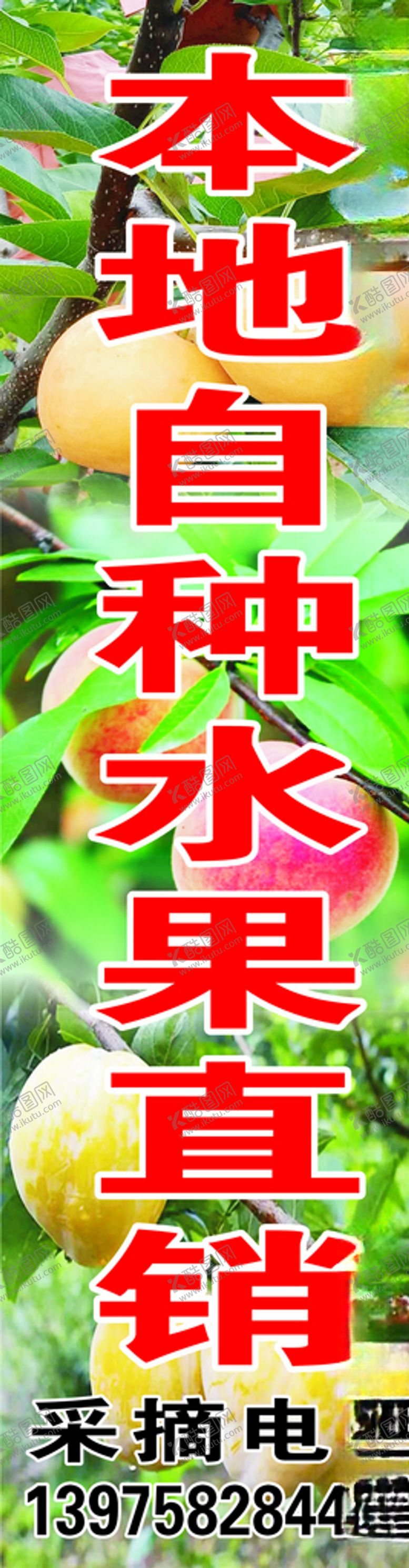 编号：24042207141421383340【酷图网】源文件下载-本地自种水果直销