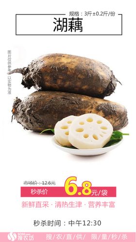 筒子骨炖湖藕