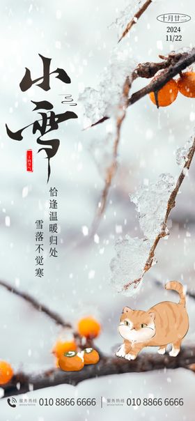 小雪