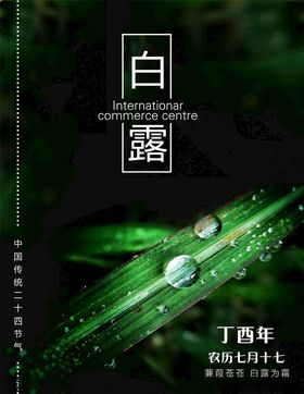 白露
