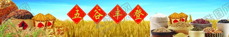 编号：30426801300340332739【酷图网】源文件下载-五谷丰登海报