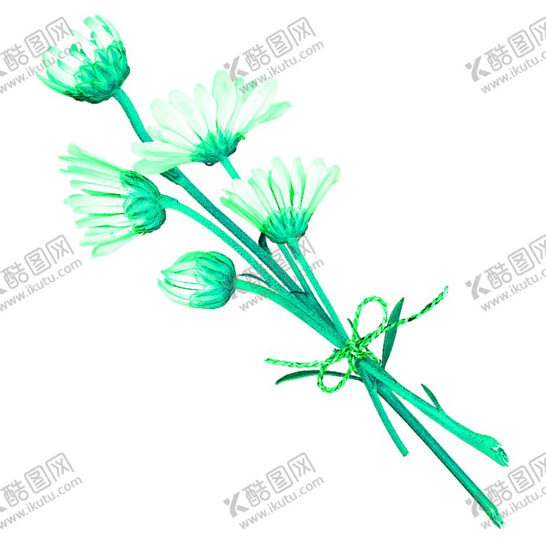 编号：29065006241131468433【酷图网】源文件下载-花素材