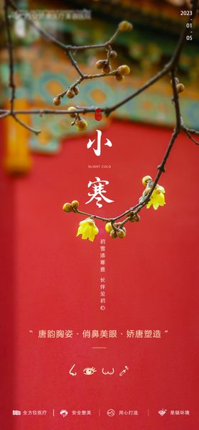 小寒节气海报