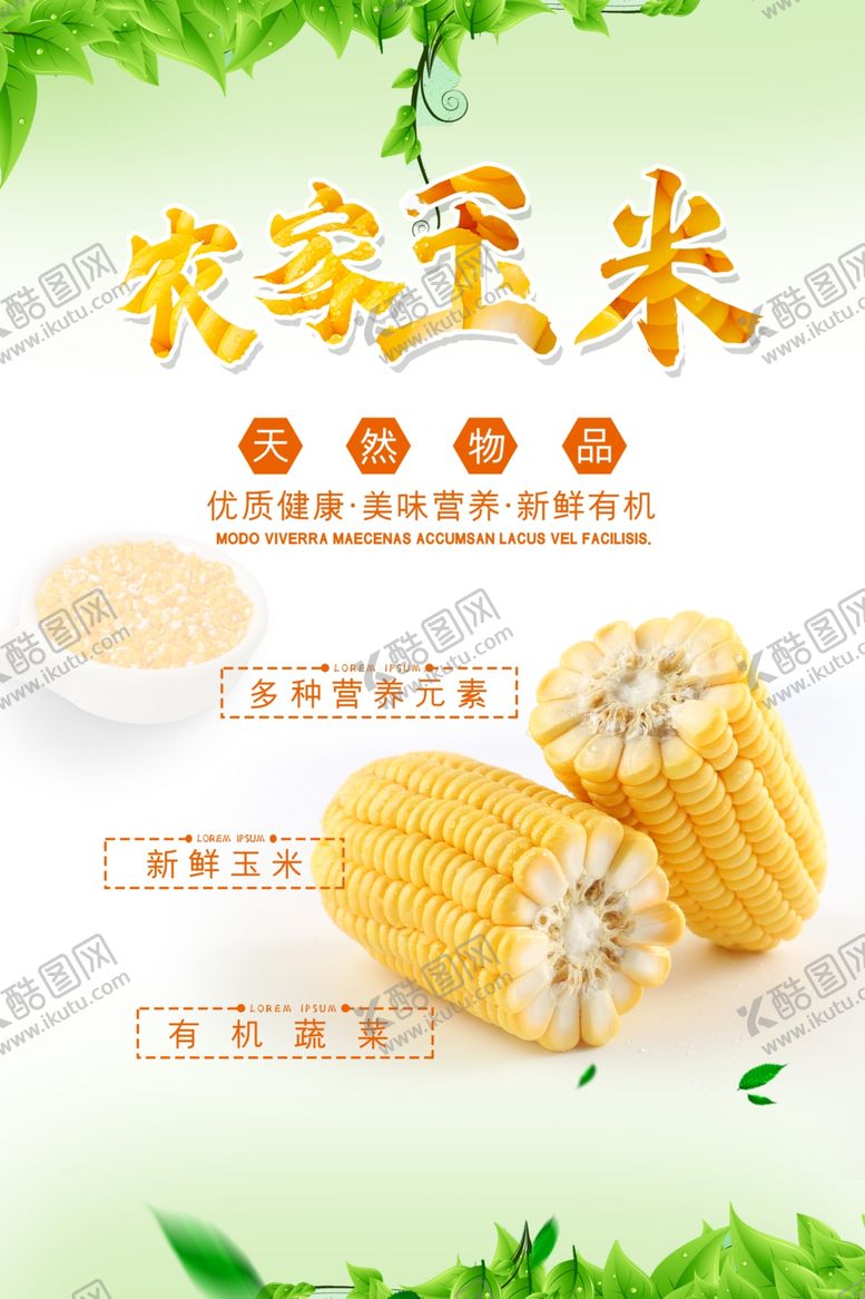 编号：68122006241010411825【酷图网】源文件下载-玉米