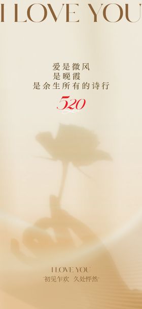 520海报图片单图