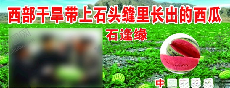 编号：90925306172139473709【酷图网】源文件下载-石头缝西瓜