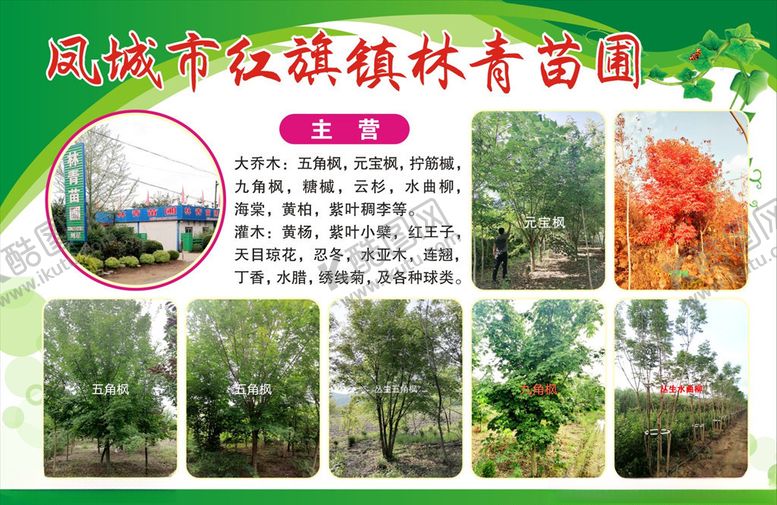 编号：49182510071205232812【酷图网】源文件下载-宣传彩页