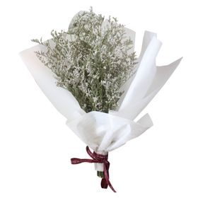 免抠背景干花枯花
