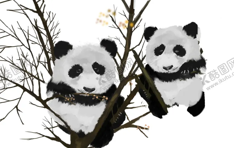 编号：30219004222133183616【酷图网】源文件下载-熊猫插画