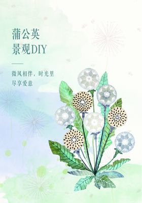 蒲公英diy