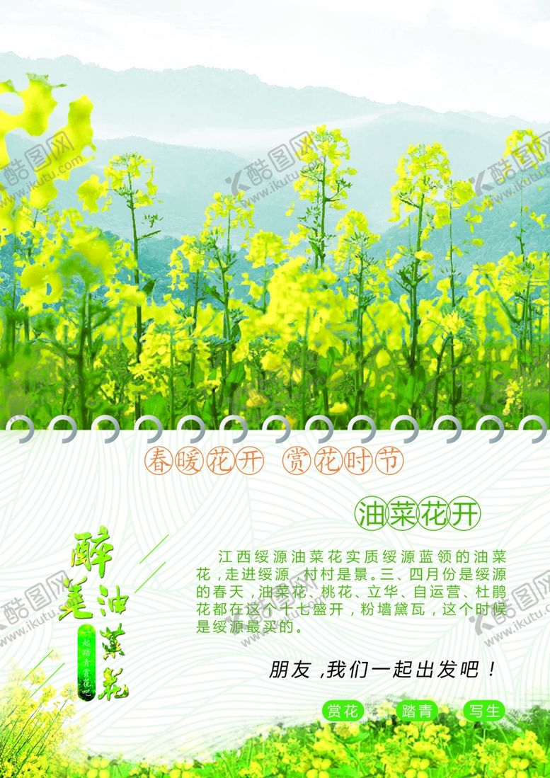 编号：37834407042121135051【酷图网】源文件下载-油菜花开