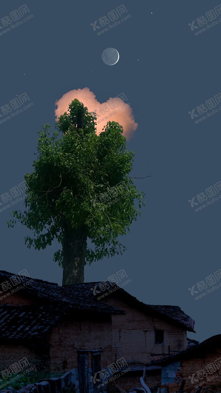 编号：97378501282358573952【酷图网】源文件下载-月夜