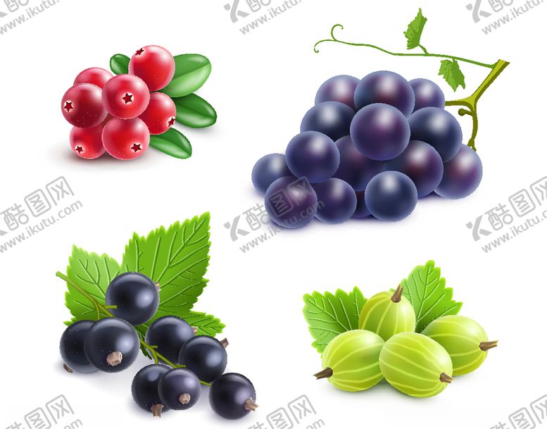 编号：94196209261743478649【酷图网】源文件下载-葡萄矢量图