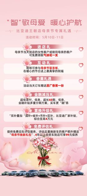 母亲节汽车政策长图