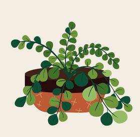 手绘植物盆栽插画