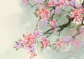 手绘樱花清新背景粉色图片