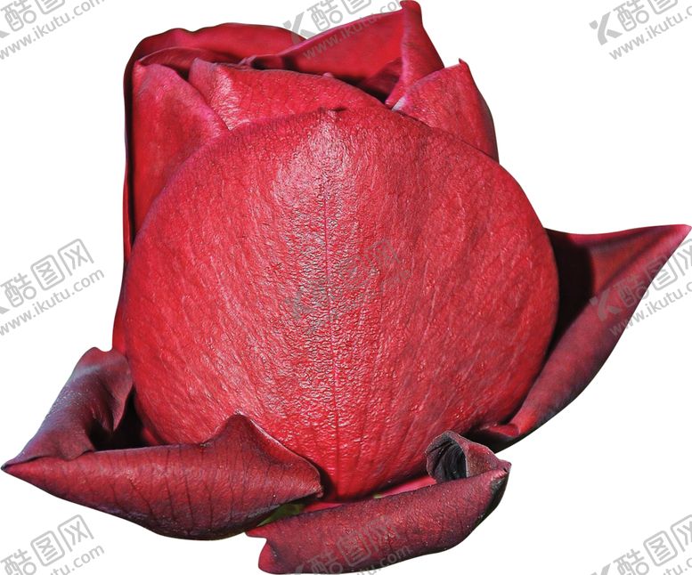 编号：14629709290635294896【酷图网】源文件下载-欧式复古花朵装饰