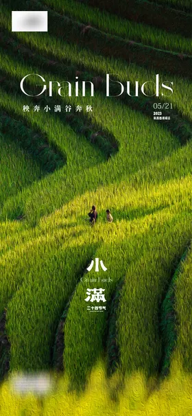 小满