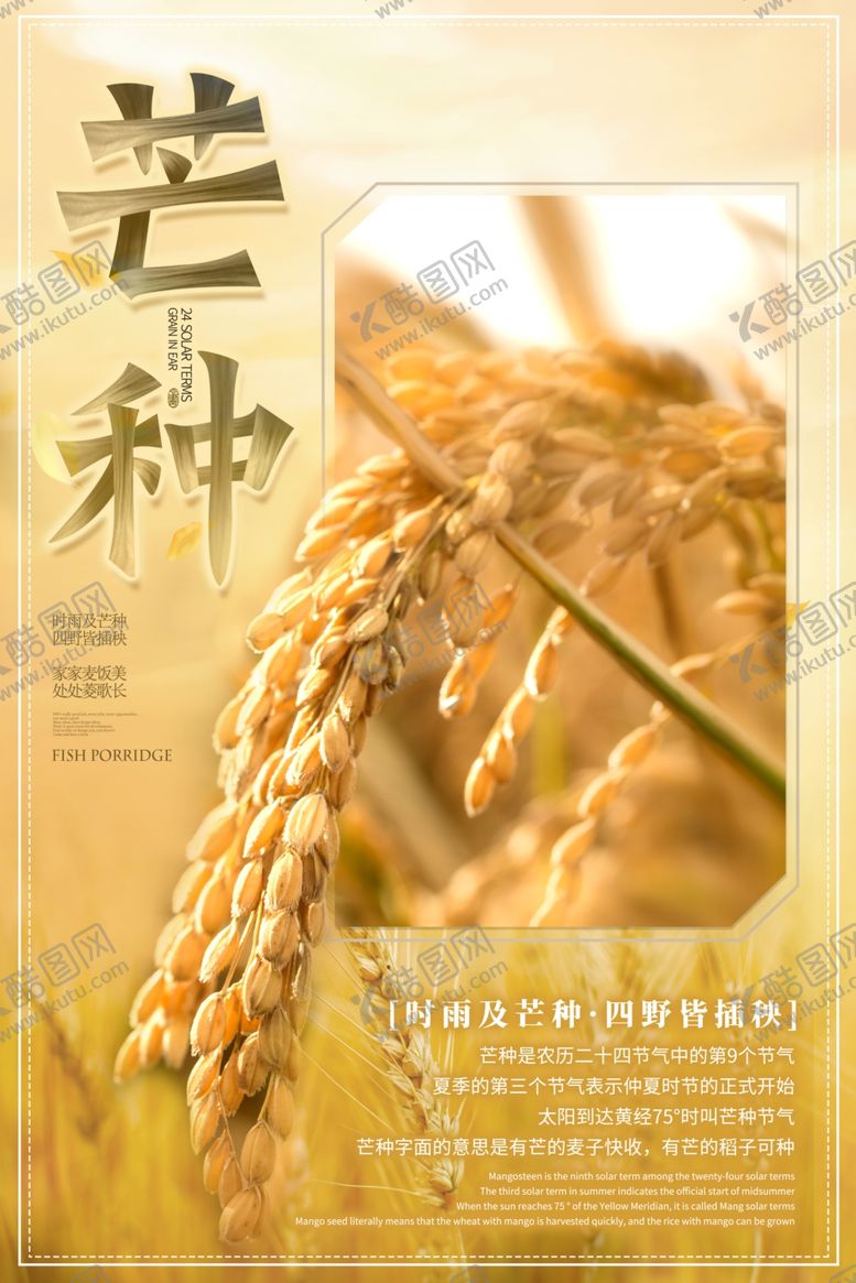 编号：16777809161955086380【酷图网】源文件下载-芒种海报