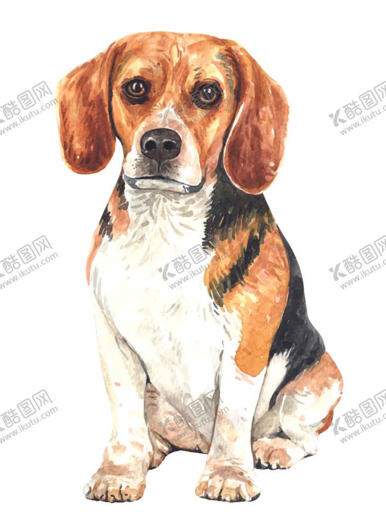 编号：18692610101800574329【酷图网】源文件下载-水彩动物