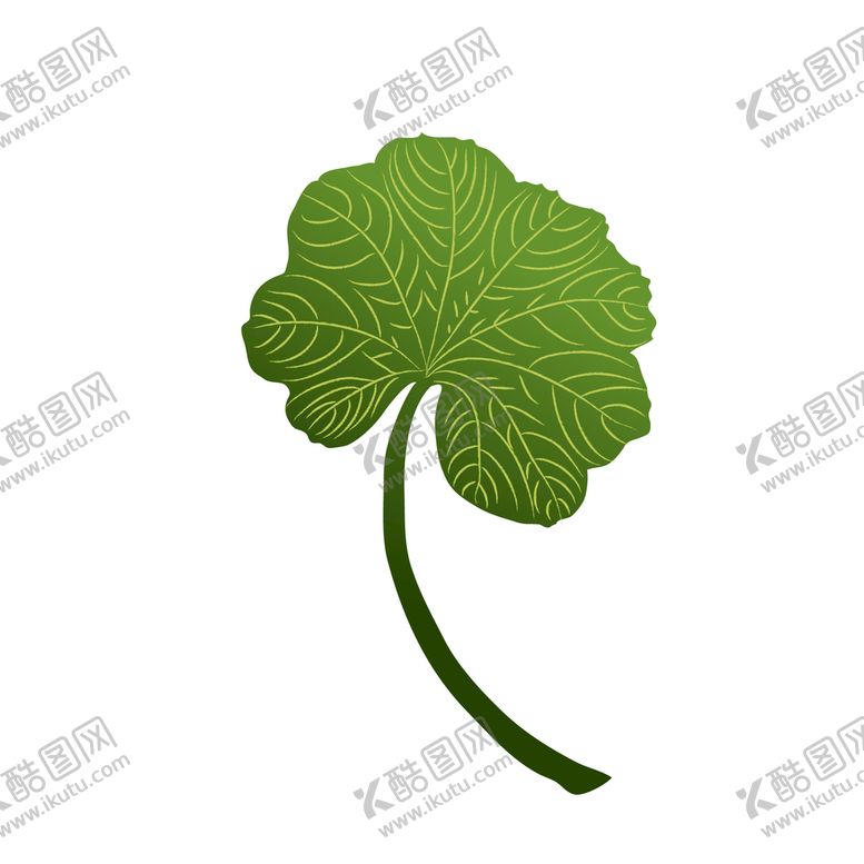 编号：07694209130648518712【酷图网】源文件下载-植物叶子各种树叶