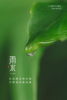 雨水