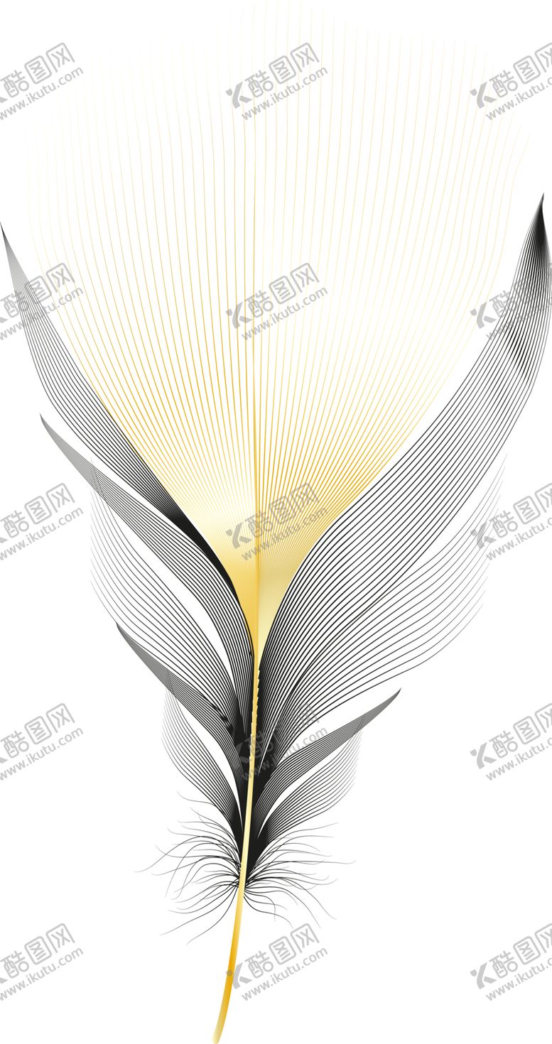 编号：54641602171226303559【酷图网】源文件下载-羽毛 素材