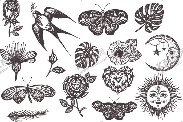 编号：76029310131835515285【酷图网】源文件下载-素描花鸟绘画