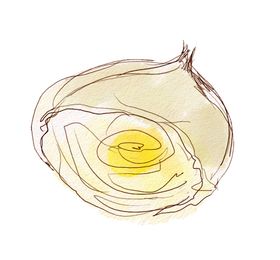 花卉素材