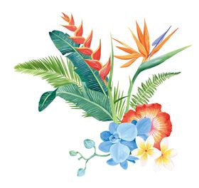 热带花