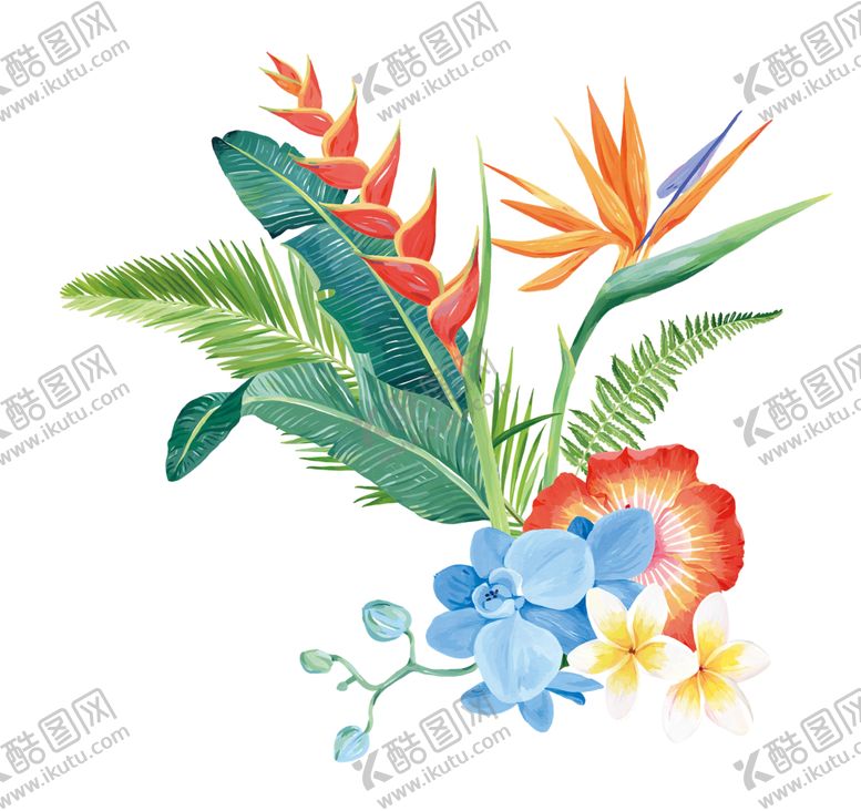 编号：34193707010500465163【酷图网】源文件下载-热带花