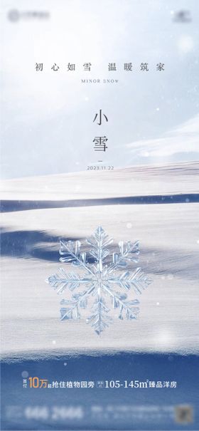 二十四节气小雪大雪海报