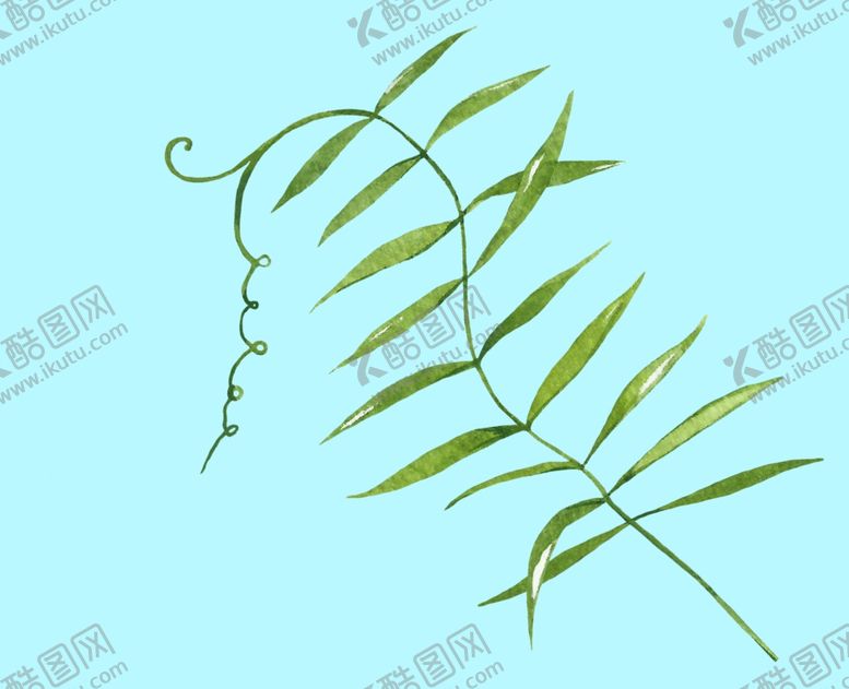 编号：63355010301006448926【酷图网】源文件下载-花卉树叶