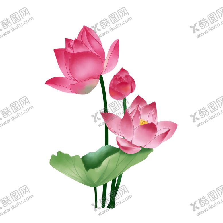编号：79485704161755361735【酷图网】源文件下载-荷花元素