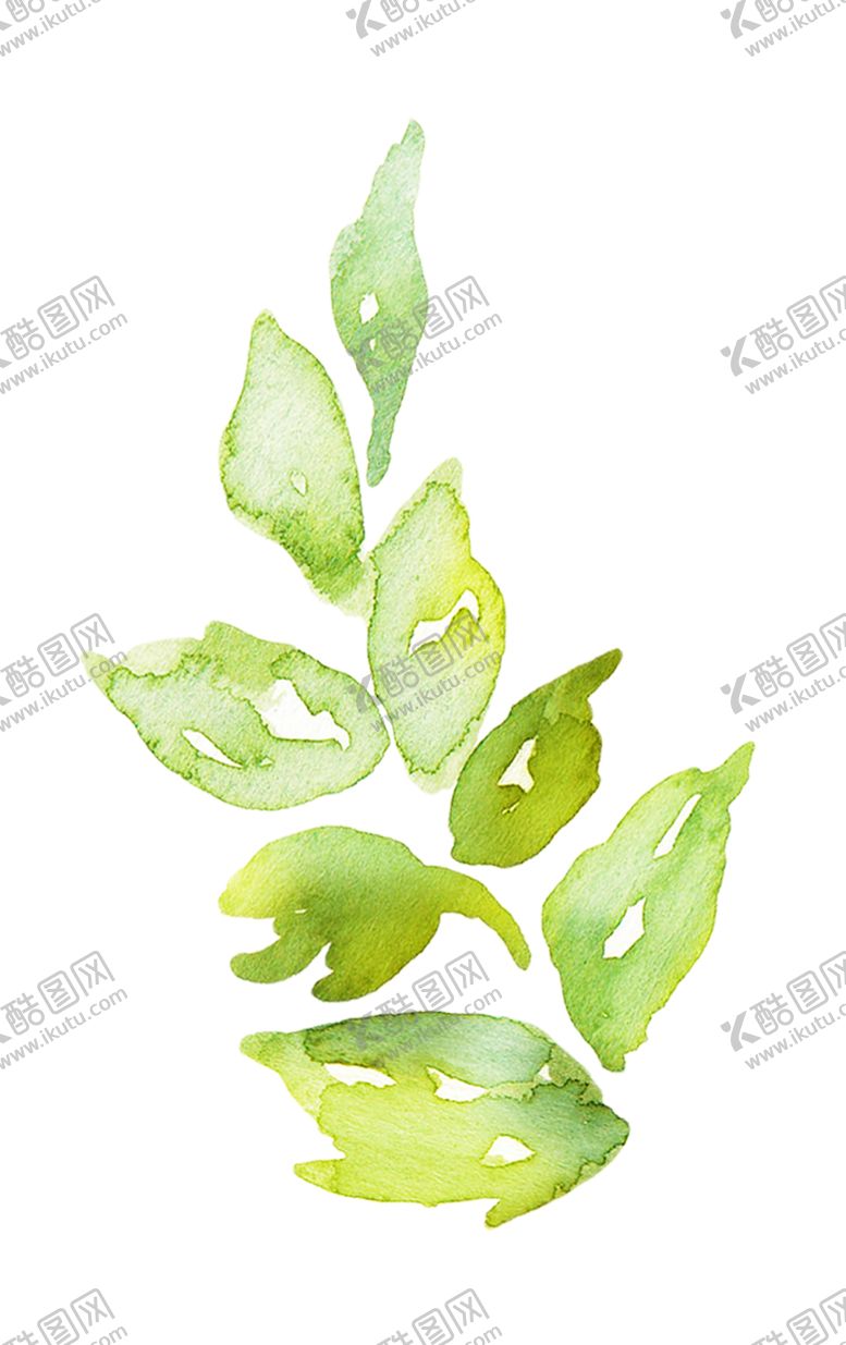 编号：47813010040059437186【酷图网】源文件下载-水彩植物