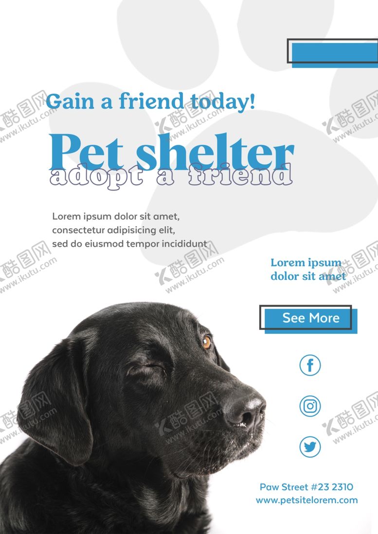 编号：73555909262051027478【酷图网】源文件下载-宠物海报
