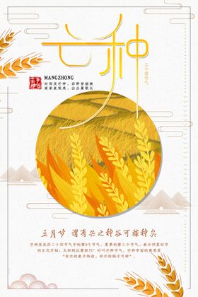 芒种海报